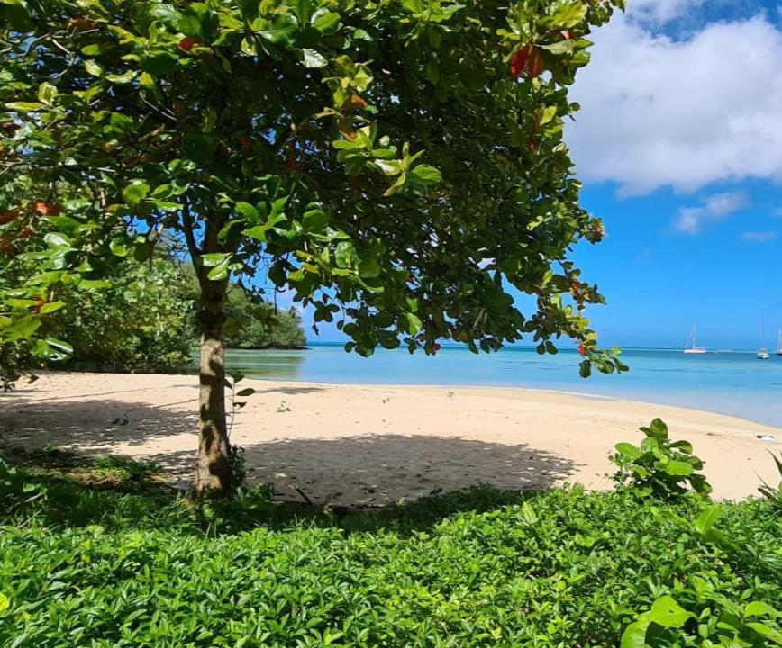 Huahine Manta Lodge Avec 4X4 Optionnel Haapu Esterno foto