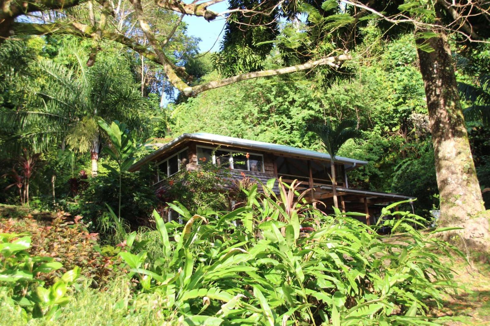 Huahine Manta Lodge Avec 4X4 Optionnel Haapu Esterno foto