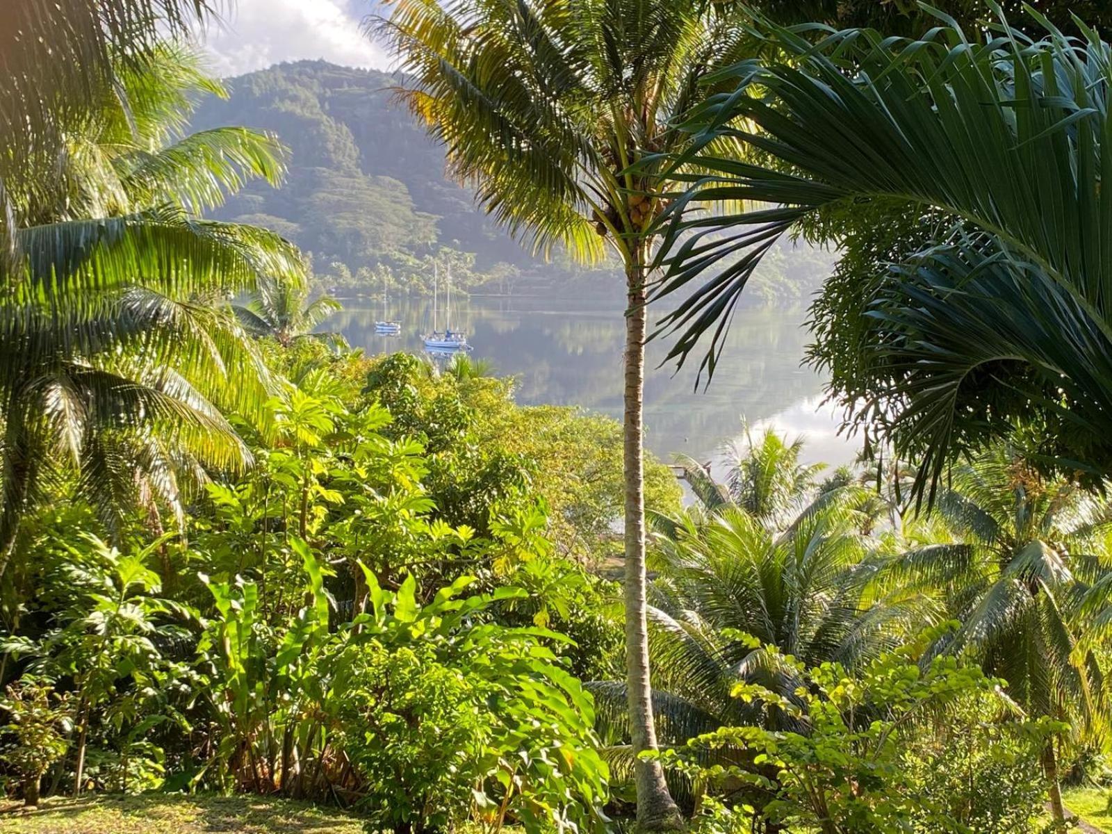 Huahine Manta Lodge Avec 4X4 Optionnel Haapu Esterno foto