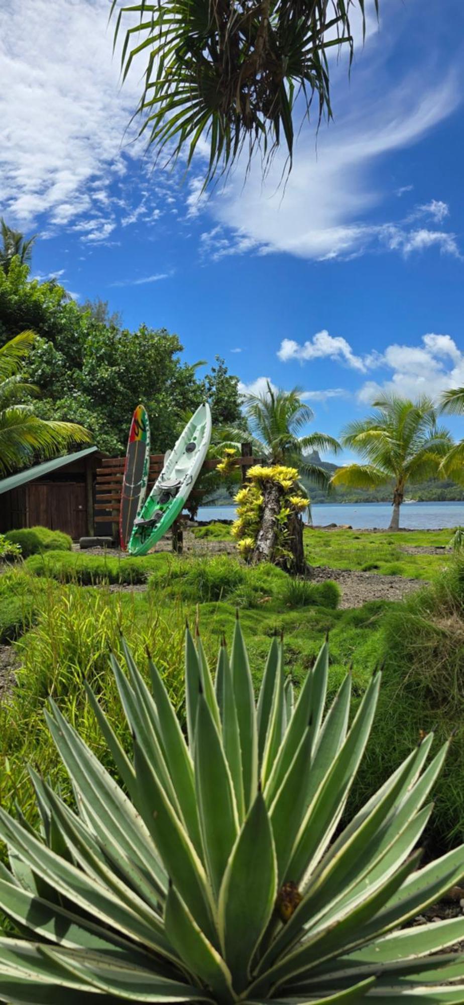 Huahine Manta Lodge Avec 4X4 Optionnel Haapu Esterno foto